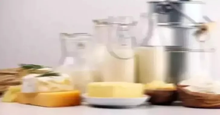 TÜİK: Tavuk eti üretimi azaldı, yumurta ve içme sütü üretimi arttı