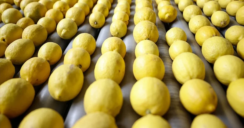 Limon ithalatında gümrük vergisi düşürüldü Sözcü Gazetesi