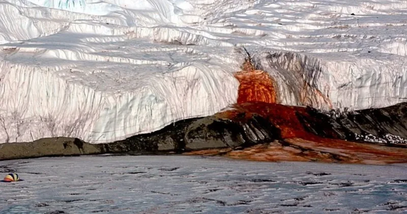 Antarktika nın kan ağlayan şelalesin gizemi aydınlandı: Cevap Mars taymış!