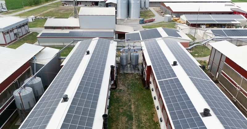 Ülkenin 1 numaralı enerji firmasına kayyum şoku: Yüzlerce çalışan iş arıyor Sözcü Gazetesi