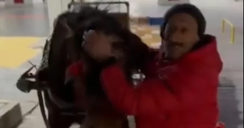 Ambulans bulamayınca çareyi Atbulans ta buldu Sözcü Gazetesi