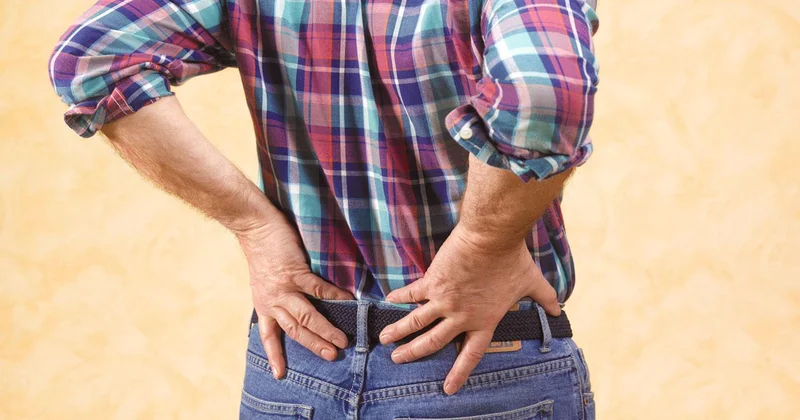 Türkiye de her 6 7 erişkinden birinde kronik böbrek rahatsızlığı görülüyor