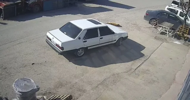 Yerde yatan köpek, otomobilin altında kaldı Bolu Haberleri