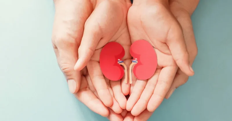 Çocuklarda masum bir ateş ve bir paket cipsin bedeli diyaliz olmasın!