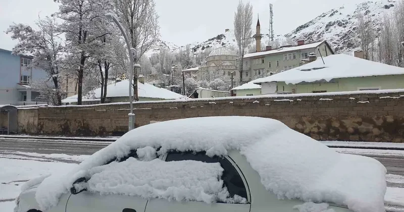 Başkale’de nisan ayında kar yağışı