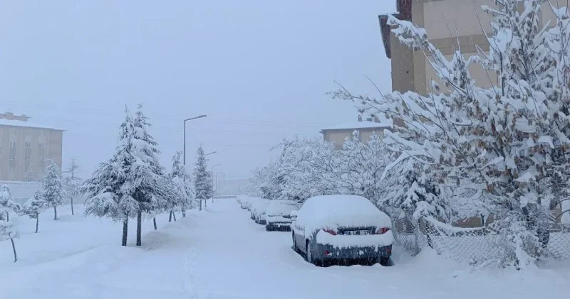 Van Bitlis ve Muş ta kar nedeniyle 147 yerleşim yerinin yolu kapandı Van Haberleri