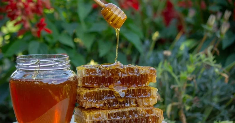 Türkiye nin balı dünyanın ağzını tatlandırıyor: 31 ülke sipariş için kuyruğa girdi Sözcü Gazetesi