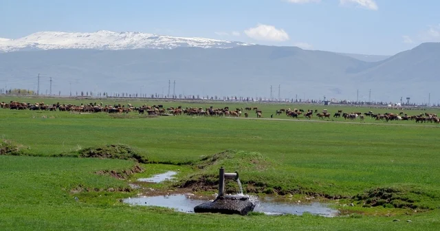 Tarımda önder üretici modeli vurgusu Erzurum Haberleri