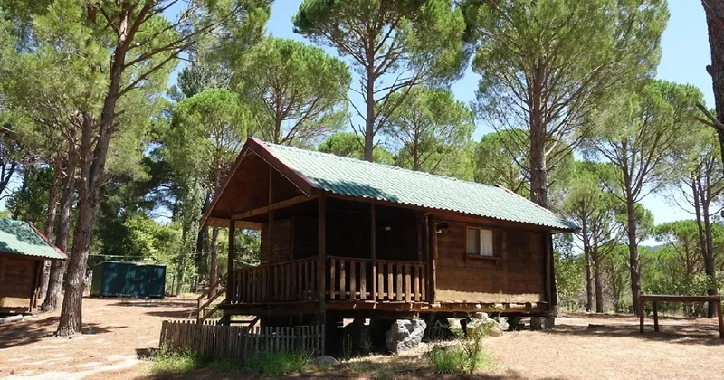 210 milyon dolandıran bungalov çetesine operasyon: 9 tutuklama