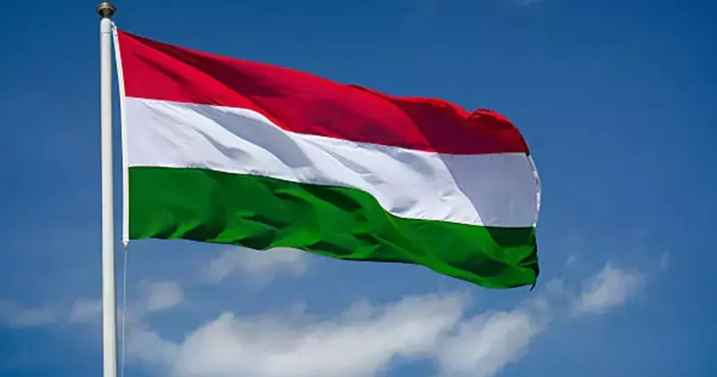 Macaristan genel seçimler için sandık başında