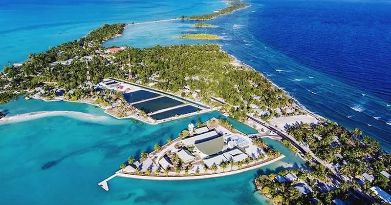 Dünyanın dört yarım küresinde toprağı olan ülke: Turist olarak giden mahsur kalıyor Sözcü Gazetesi