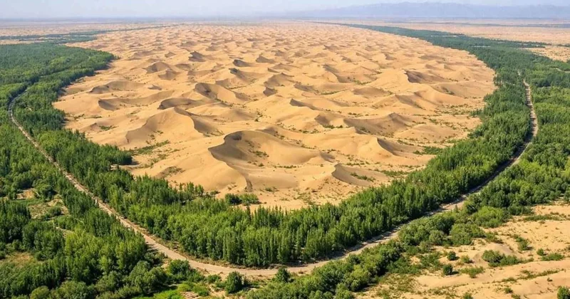 Çölü buğday tarlasına çevirdiler: Hasadına yetişemiyorlar Sözcü Gazetesi