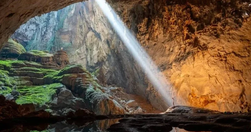 Tesadüfen dünyanın en büyüğünü buldu: Ormanın derinliklerinde kaybolup 17 yıl sonra yeniden bulundu Sözcü Gazetesi