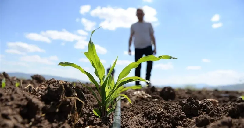 Hürmüz Boğazı kıskacında tarım: Savaş bitişse de maliyet baskısı sürecek