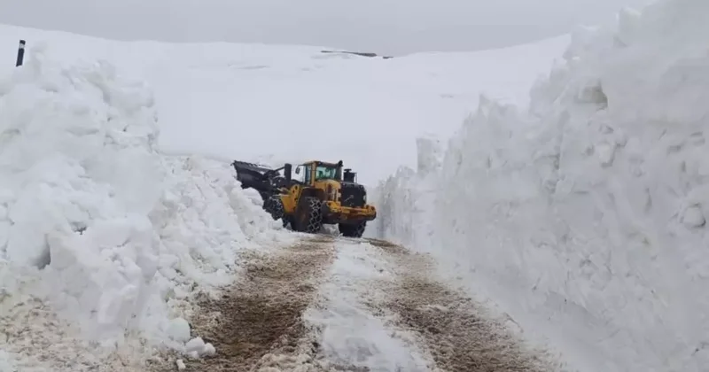 Hakkari de 46 yerleşim yolu ulaşıma kapandı