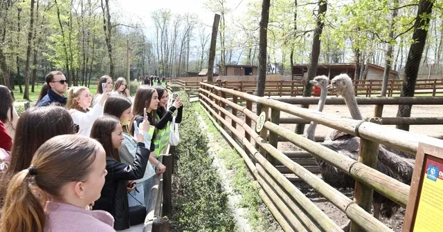 Batı Trakya dan gelen 82 öğrenci Kocaeli de ağırlandı Kocaeli Haberleri