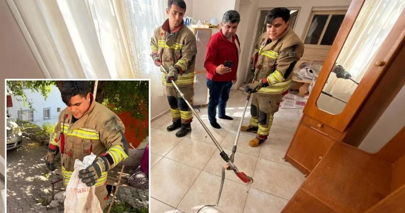 İskenderun’da eve giren yılanı itfaiye yakaladı Gündem Haberleri