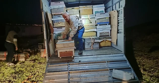 Karadeniz in gezgin arıcıları yeni sezon için Doğu Anadolu nun dağlarını mesken tuttu Giresun Haberleri