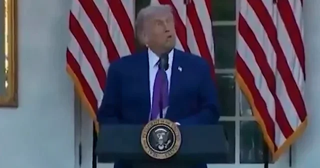 Donald Trump konuşması sırasında bir kuşu dron sanarak panikledi VİDEO İZLE
