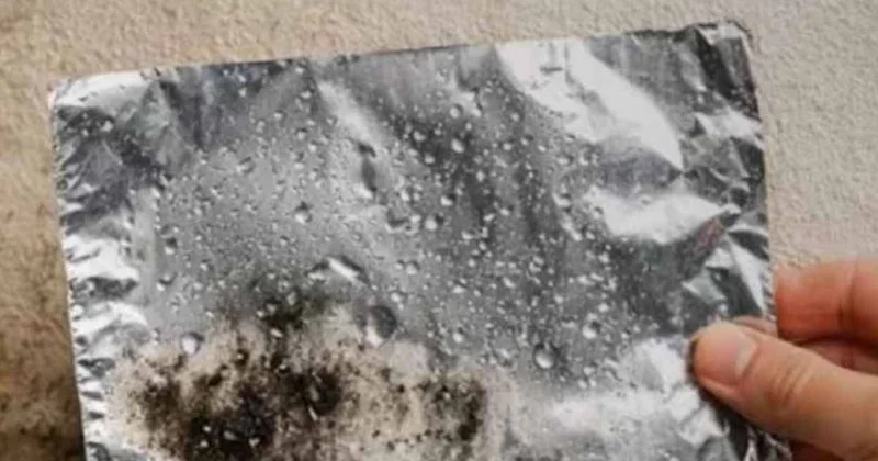 Mimarlar, alüminyum folyoyu 48 saat boyunca duvara yapıştırmayı öneriyor Sözcü Gazetesi