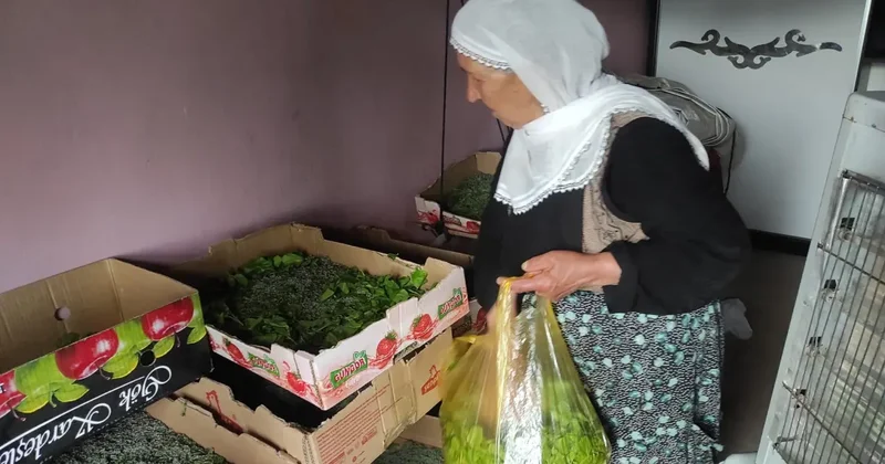 Unutulan iş kolu yeniden canlandırılıyor: Bir aile 40 günde 350 bin TL kazanabilecek