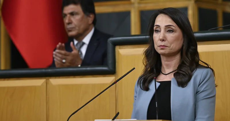 Son dakika: DEM Parti Eş Genel Başkanı Tülay Hatimoğulları: Engellilerin talepleri bizim taleplerimizdir Son dakika haberleri