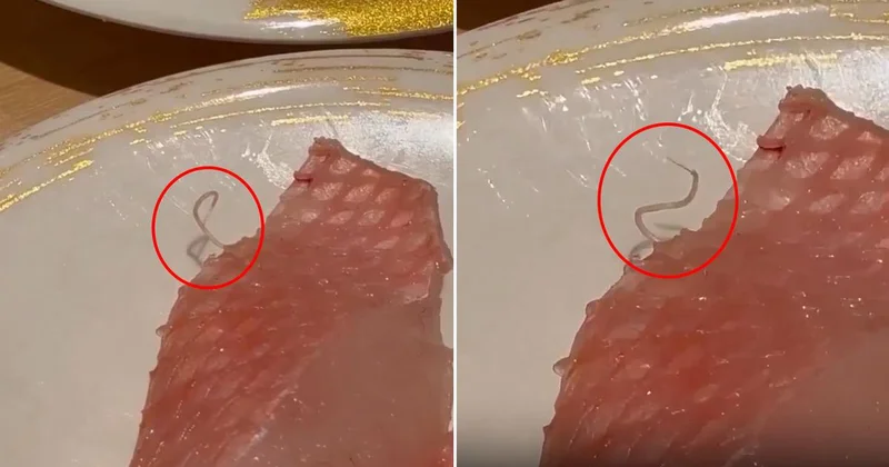 Restoranda şoke eden görüntü! Tabakta hareket eden canlı parazit buldu