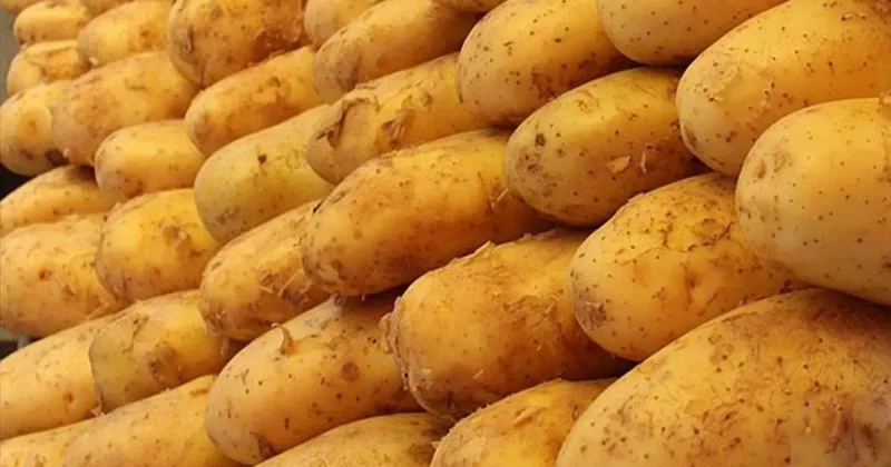 Avrupa da patates krizi