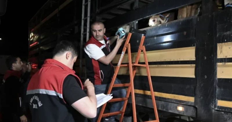 Testi geçemeyen geri gönderiliyor: Kamyonlar sıralandı on binlercesini İstanbul a taşıyor Sözcü Gazetesi
