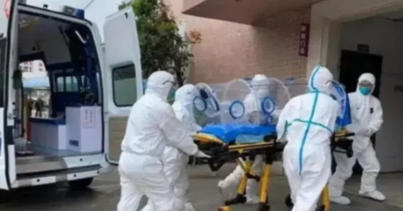 Fare dışkısıyla bulaşan hastalıktan ölenlerin sayısı 190 a yükseldi Sözcü Gazetesi