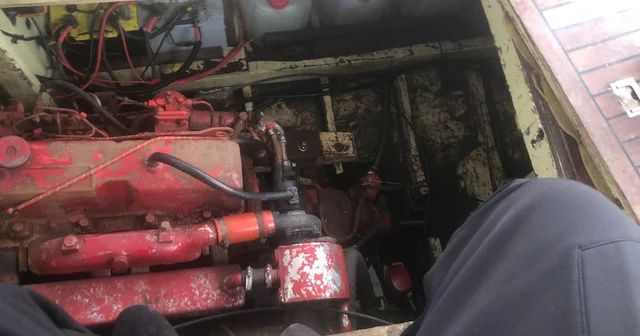Çınarcık ta teknenin motor bölümüne sıkışan kediler kurtarıldı Yalova Haberleri