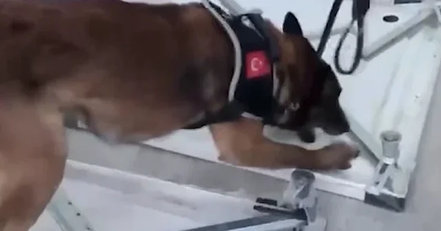 İstanbul’da zehir sevkiyatına darbe vuruldu: 92 kilo 500 gram eroin ele geçirildi VİDEO İZLE