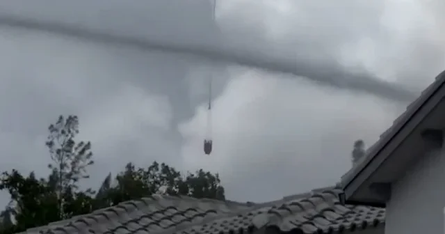 Florida’da korkutan orman yangını: Binlerce dönümlük alan kül oldu VİDEO İZLE