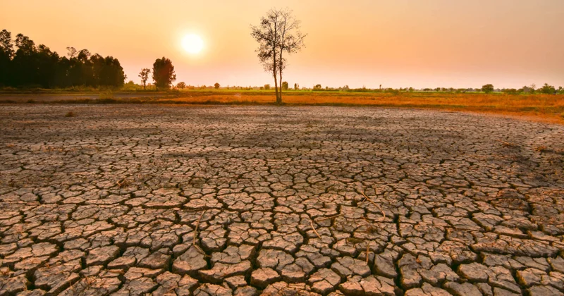 Uyarılar sonunda gerçek oldu: El Nino dalgası başladı Sözcü Gazetesi