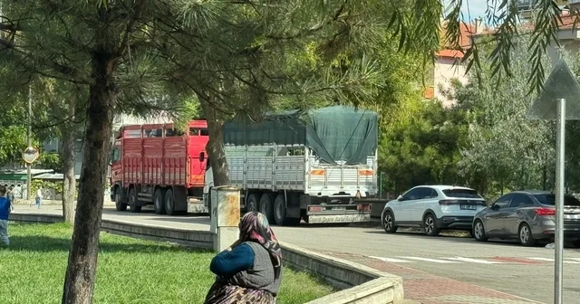 Erol dan mahalle aralarına park eden tır ve kamyon sürücülerine önemli uyarı: Uyarılara rağmen park etmeyi alışkanlık haline getiren ve kuralları hiçe sayanlara cezai işlemleri çok katı bir şekilde uygulayacağız Afyonkarahisar Haberleri
