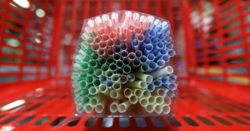 Bu yaz plastik pipet kullanmadan önce iki kez düşünün Sözcü Gazetesi
