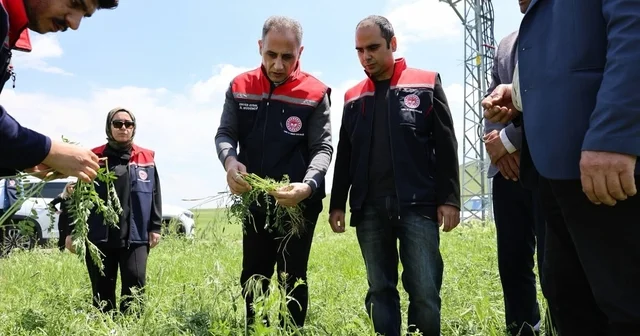 Akyaka da dolu yağışı tarım arazilerini vurdu: Hasar tespit çalışmaları sürüyor Kars Haberleri