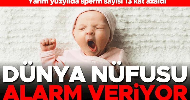 Yarım yüzyılda sperm sayısı 13 kat azaldı... Dünya nüfusu alarm veriyor