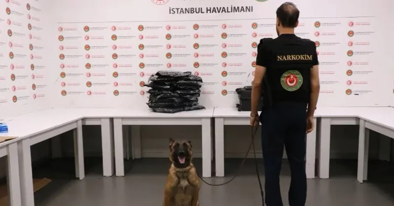 İstanbul Havalimanı nda 20 milyonluk esrar operasyonu