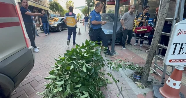 Fren yerine gaza bastı: İki ağacı devirip, duvara çarptıktan sonra durabildi Bartın Haberleri