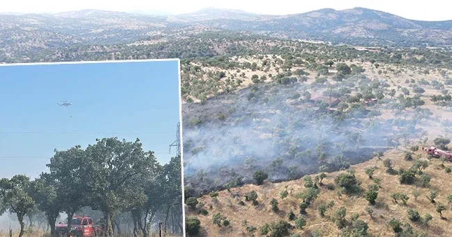 Çanakkale de zirai arazi yangını: Havadan ve karadan müdahale ediliyor
