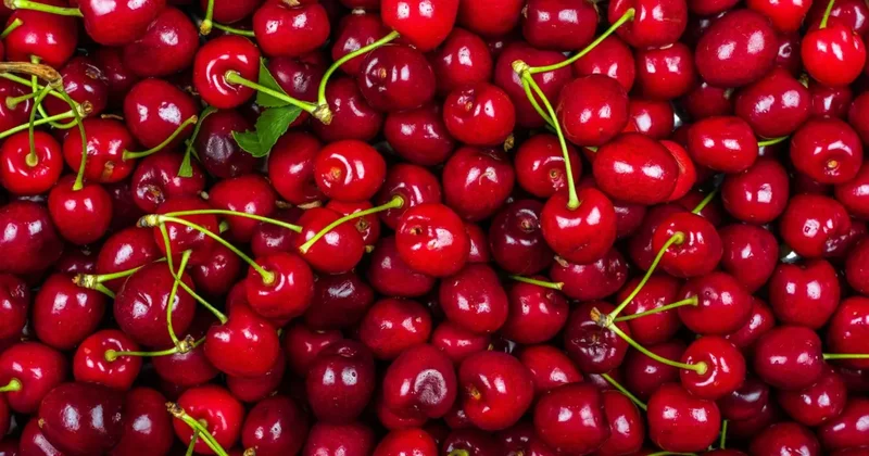 Ölüm nedenleri bilinmiyor: En son bahçe kirazı yemişlerdi