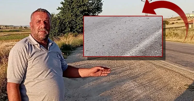 Tokat ta şaşırtan manzara: Binlercesi kara yolunu bastı! Sürücüler gözlerine inanamadı