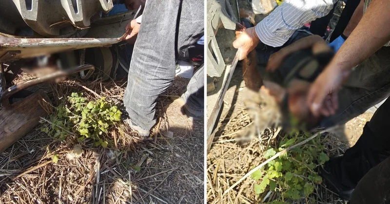 Traktör devrildi, altında kalan sürücü kurtarıldı