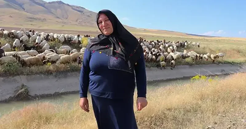 Aldıkları devlet desteği hayatlarını değiştirdi! 40 ı 400 yaptılar