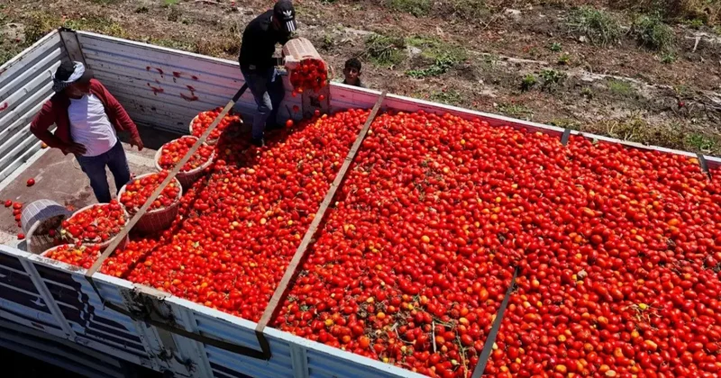 Daha az ihraç edildi, daha çok kazandırdı!