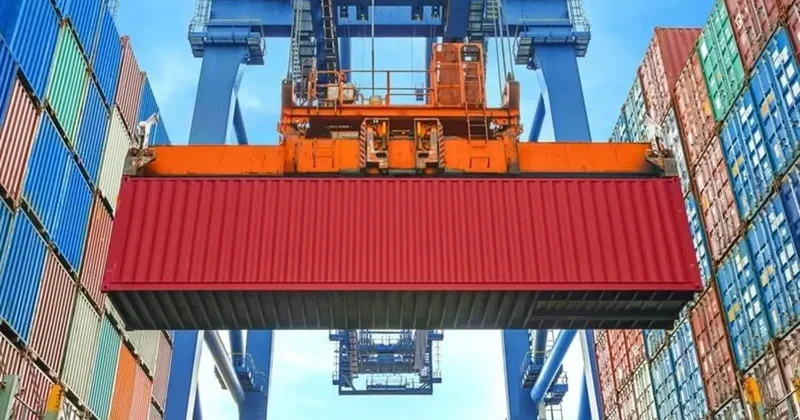 Düzce’den 4 bin 135 ton orman ürünü ihraç edildi