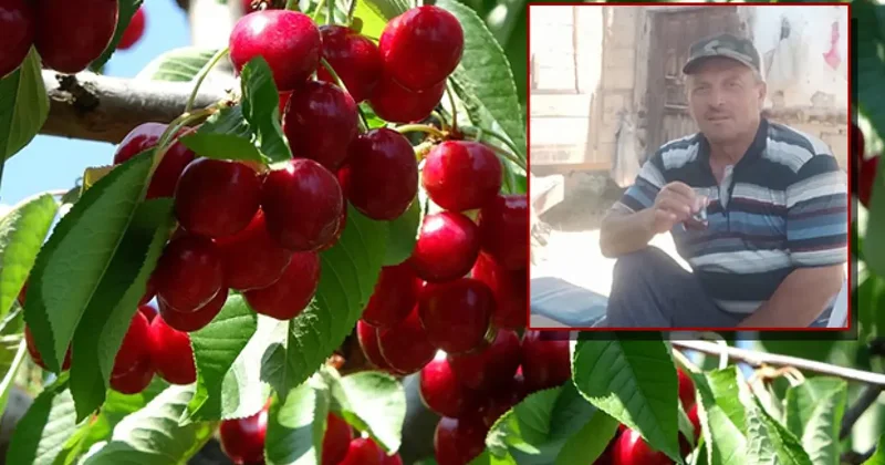 Kiraz yedikten sonra fenalaşan çiftten peş peşe acı haber! İkisi de hayatını kaybetti!