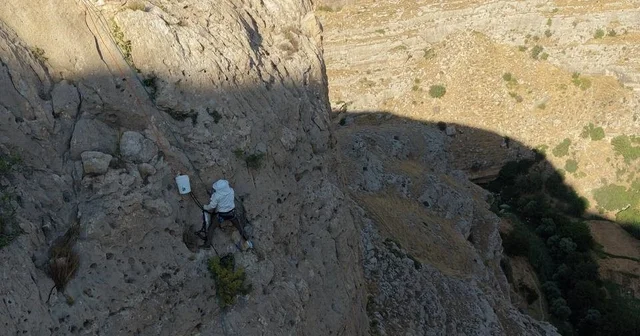 600 metre yüksekliğinde sınırları aşan hasat: Gercüş ün cesur arıcısı iş başında Batman Haberleri Habertürk Yerel Haberler