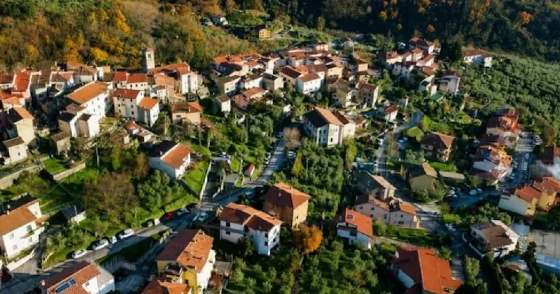 Yeşil altın hasadı için 150 nüfuslu köy kapılarını açtı: Yemek ve konaklama ücretsiz Sözcü Gazetesi